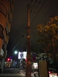 20160626212033531.jpg
